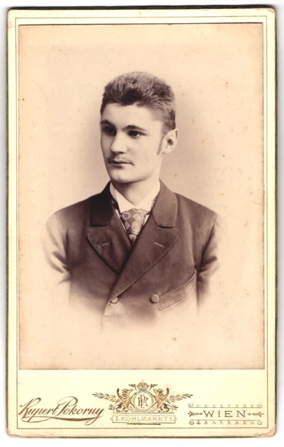 Fotografie Rupert Pokorny, Wien, Kohlmarkt 1, Portrait Bursche trägt Anzug und