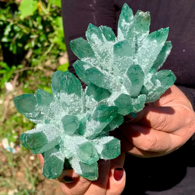 1.11LBNew Find sky Green Phantom Quartz Crystal Cluster Mineral Specimen Healing