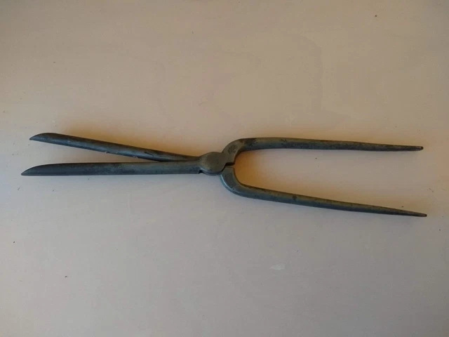 Marcel tongs online