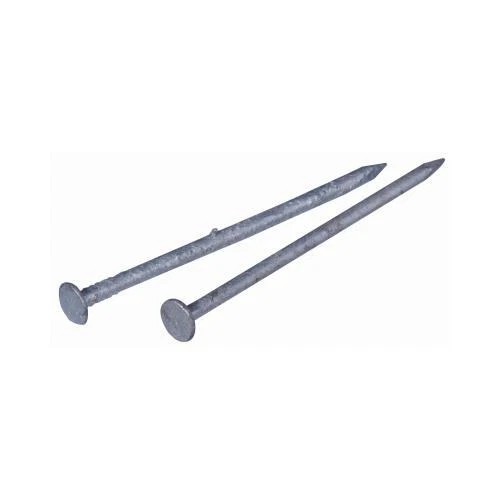 Hillman Fasteners  Galvanized Common Nail, 2.5-In., 8-D, 1-Lb.