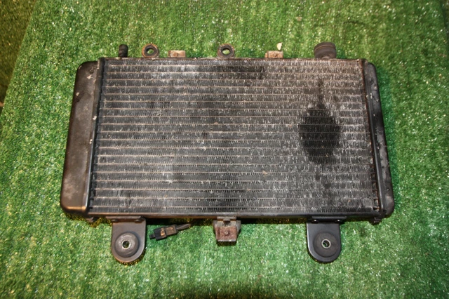 Tiger Radiator Fiche TRIUMPH TIGER 955I Radiator and fan 2001-2006 EUR 94,00 - PicClick FR