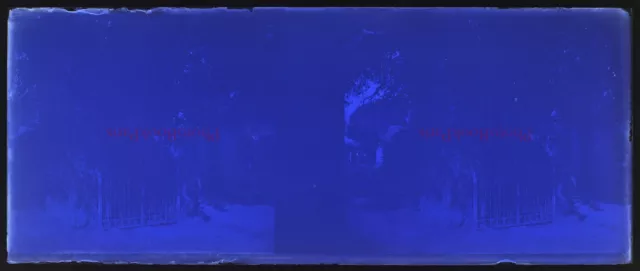 Effet coloré Maison c1930 Photo NEGATIVE Plaque de verre Stereo Vintage V33L25n8