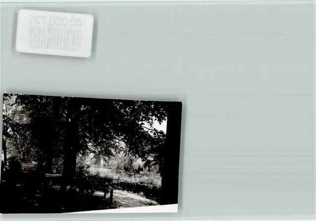40060731 - 4920 Lemgo Lindenwall