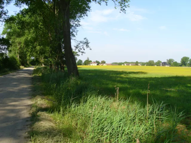 Ostsee, Polen, Baugrundstücke in einer herrlichen Umgebung von Pobierowo 3