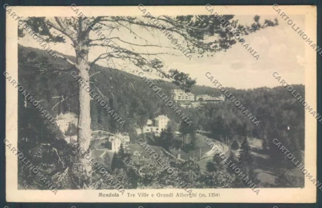 Trento Passo della Mendola postcard ZB0980