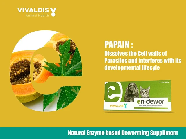 Vivaldis Natural Enzima Basado Deworming Suplemento para Perros y Gatos 2X10 2