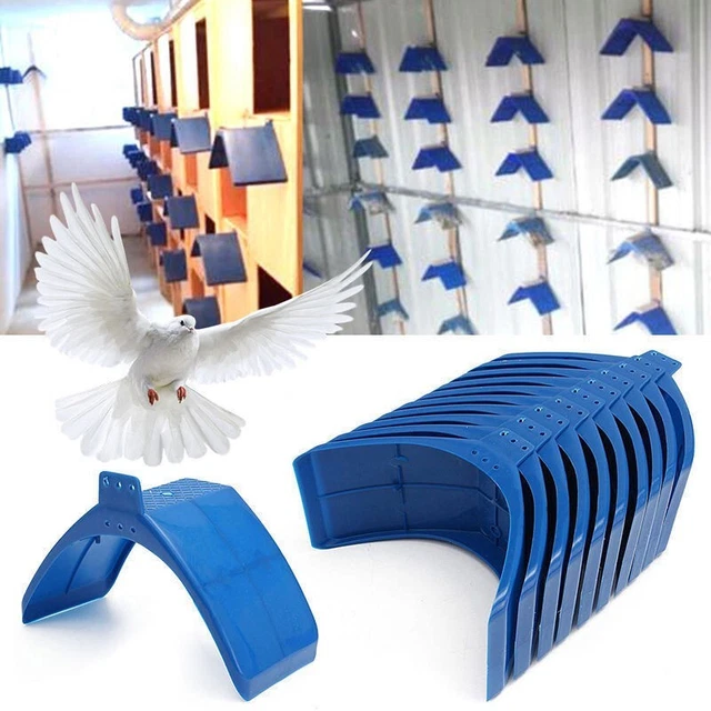 Oiseaux Colombe Pigeon&rests Support Cadre Dwelling Roost Perches 20PCS Fashions