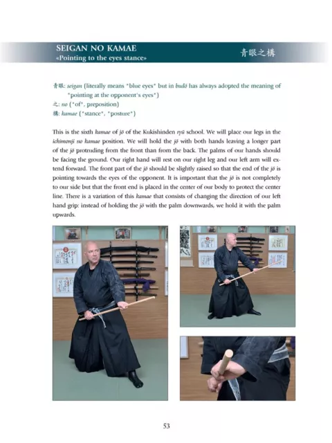 Kukishinden Ryu Jojutsu. (English edition) By Fernando Aixa. Bujinkan dojo 3