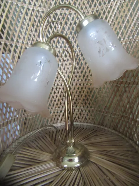 Brass Effect Entwined Goose Neck Lamp Table Desk With Acid Etched Shades.