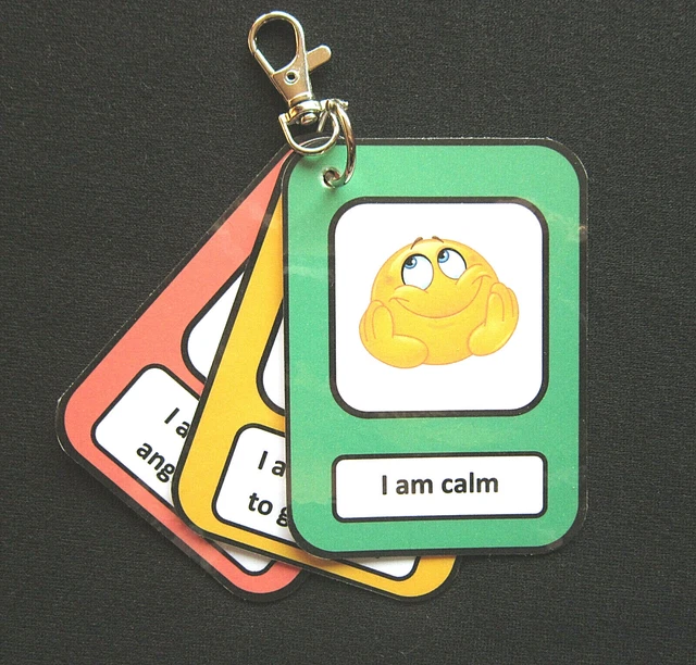 Cartes Flash Routine CHEFAN Lot De 120 Cartes De Communication Pour