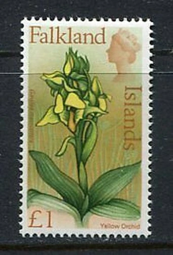 39411) Falkland Isl. 1971 MNH Flowers Wareneingang 1 1v S.Gibbons 245Ea