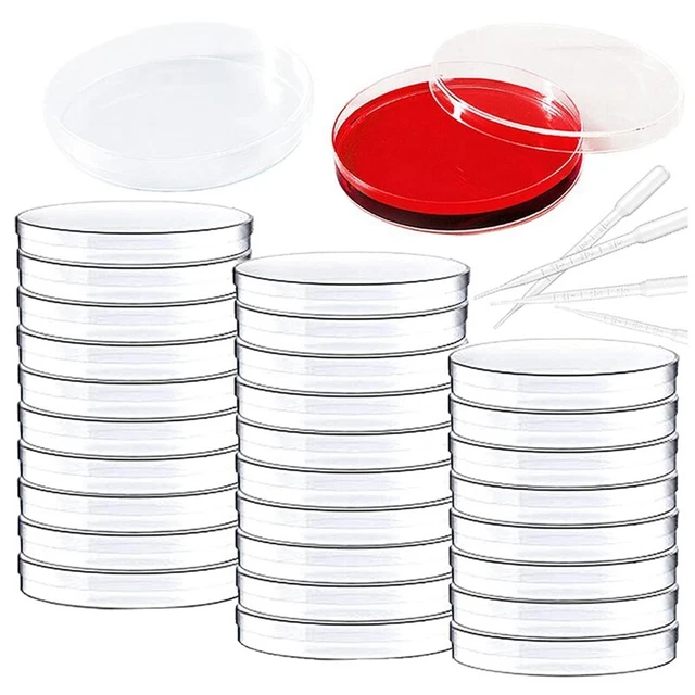 Tubes à Fleurs Transparents Avec Couvercle – Lot De 40, Réutilisables, Pour Arrangements Floraux