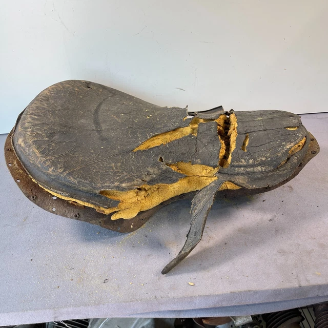 harley davidson buddy seat