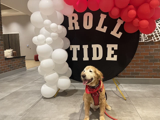 2 SEC Championship tickets,TIDE PRIDE, Alabama vs Georgia Section 320, Row 21.