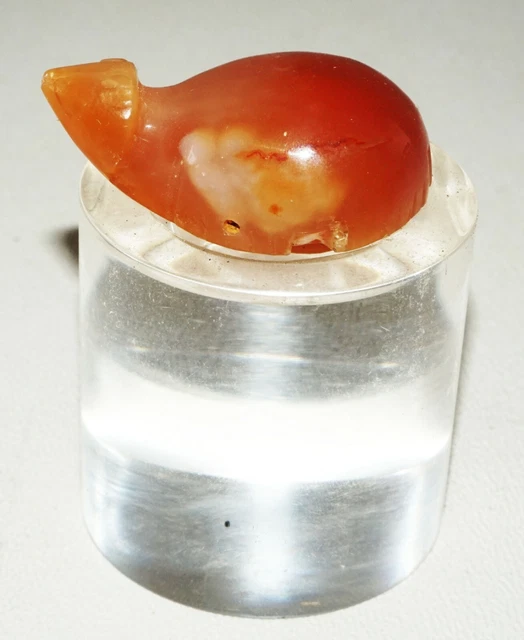 Burmese Pyu States Carnelian Turtle Bead Pendant w. Stand (Mil) M805/226