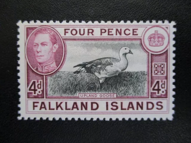Falkland Islands #88 Mint Hinged- WDWPhilatelic (VH1) (3-24)