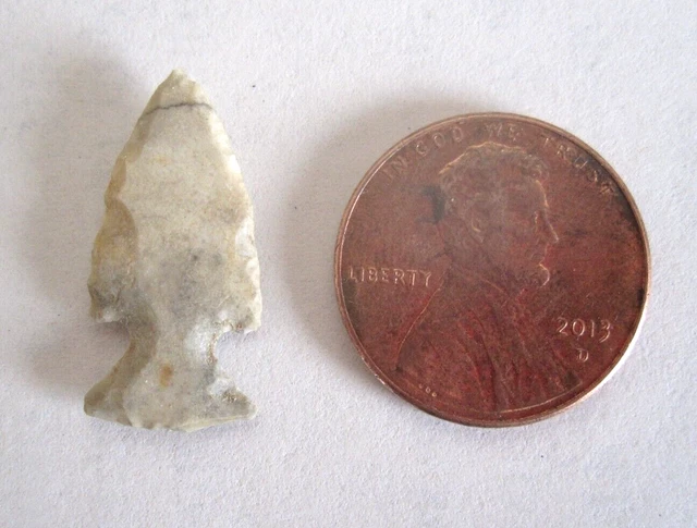 Indian Arrowhead