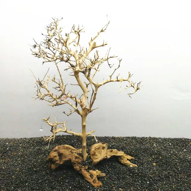 Driftwood/Root Tree Aquarium Fish Tank Ornament Landscaping Bonsai Plant Decor