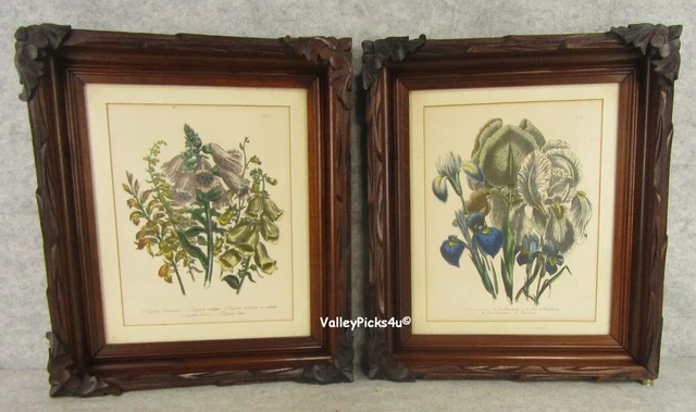 Antique Pair Botanical Floral Iris Print Wood Carved Folk Art Deep Well Frames