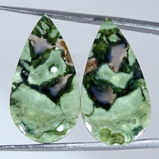 20.60Cts Natürlich Regenwald Jaspis Paar Rhyolite Birne Cabochon Lose Edelsteine