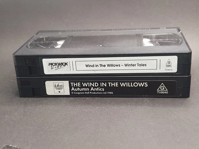 VINTAGE VHS CASSETTES THE WIND IN THE WILLOWS! 2 tapes box set! $4.99 ...
