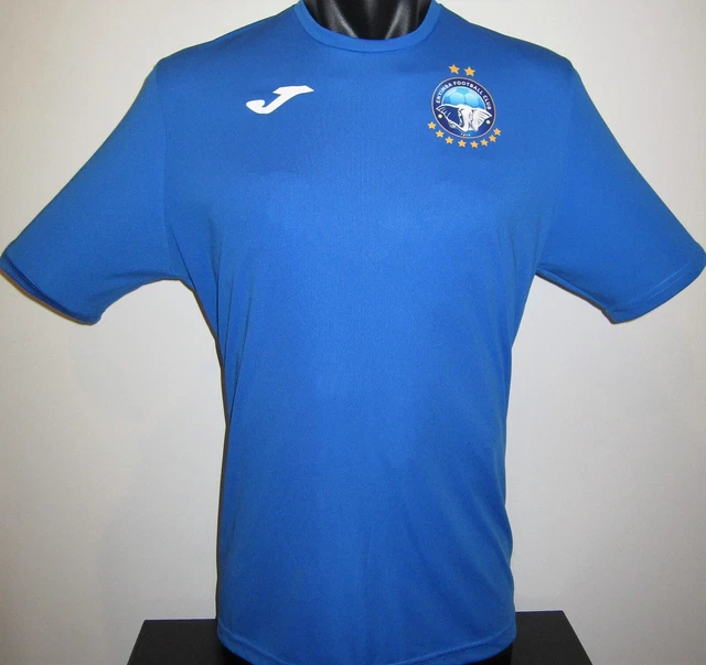 Maillot manches courtes maillot extérieur Torino 24/25 | JOMA