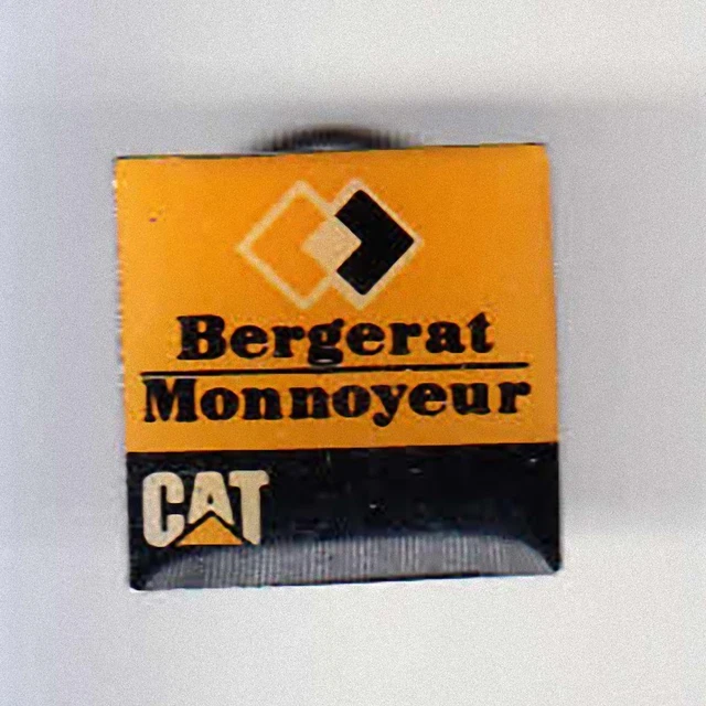 RARE PIN