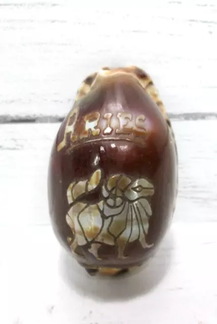 Vintage Aries Ram Hand Carved Cowrie Shell Zodiac Sign Brown India Souvenir