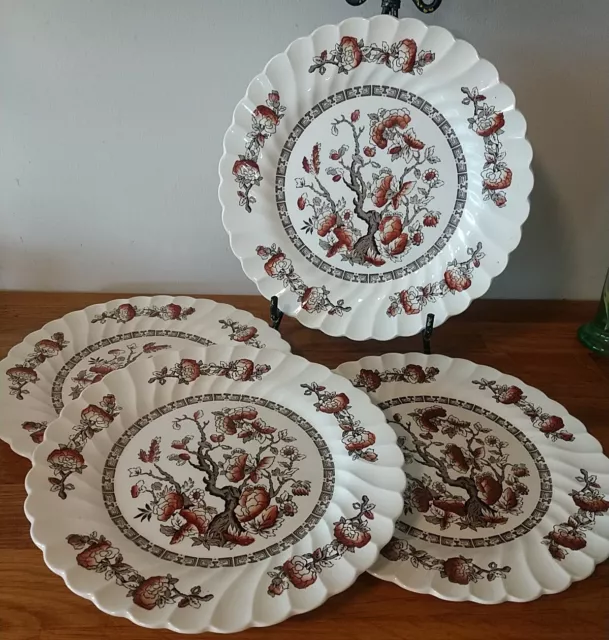 Set Of 4 Nice Myott Staffordshire England Dynasty Indian Tree 10” Dinner Plate