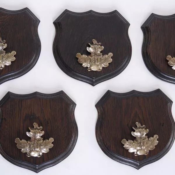 5x Wappenschilder Jabalí Af 17cm Escudo de Trofeo Hoja de Roble Portada Grande 3