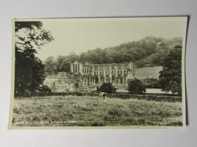 K276 HELMSLEY Rievaulx Abbey - Real Photo POSTCARD North Yorkshire