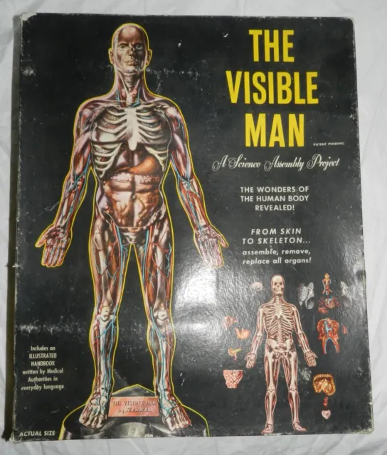 Vintage Renwal Visible Man Model with box
