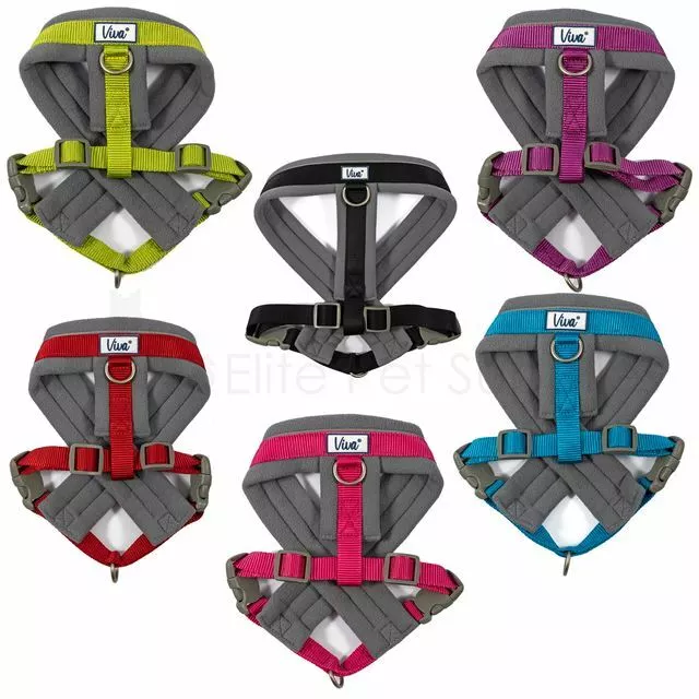 Ancol Viva Padded Dog Harness - Black Red Blue Pink Lime or Purple