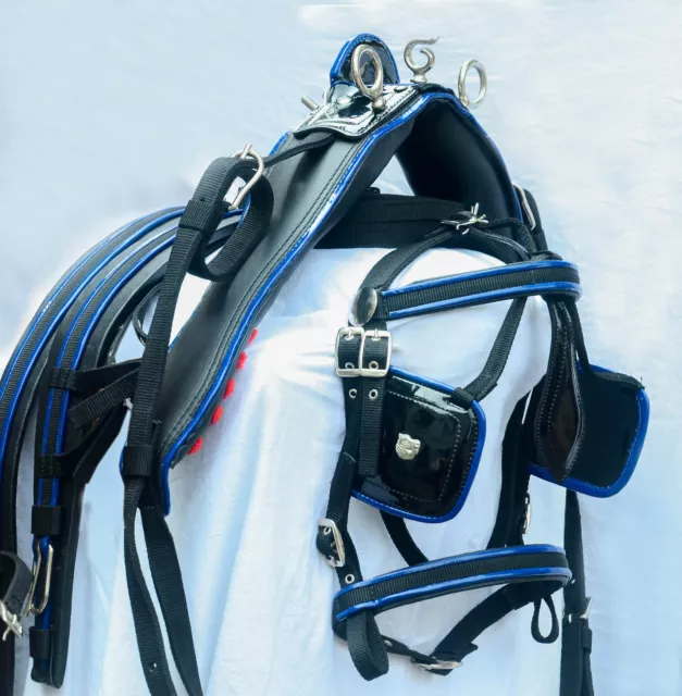 Nylon Horse Cart Driving Harness Set Two Tone Black/ Blue Colour In All Sizes