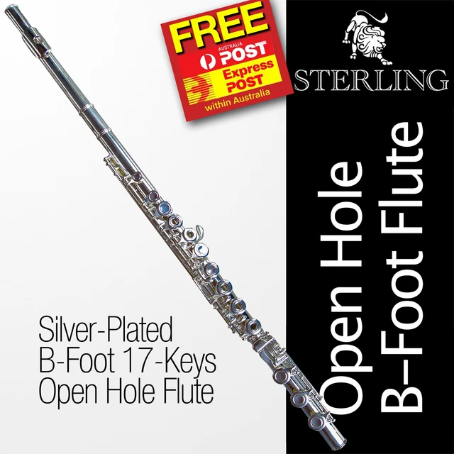 Silver-Plated 17-Keys • OPEN HOLE FLUTE • B-Foot • OHB •  CASE •    Free Express