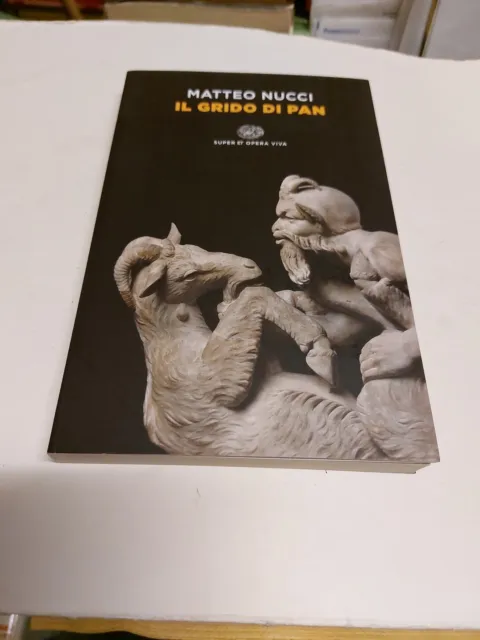 IL GRIDO DI PAN - NUCCI MATTEO - Einaudi, 22d23