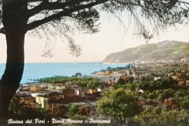 Cartolina - Riviera dei Fiori - Diano Marina - Panorama - 1957