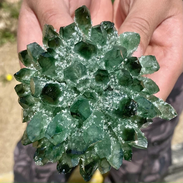 523G New Find Green Phantom Quartz Crystal Cluster Mineral Specimen Healing