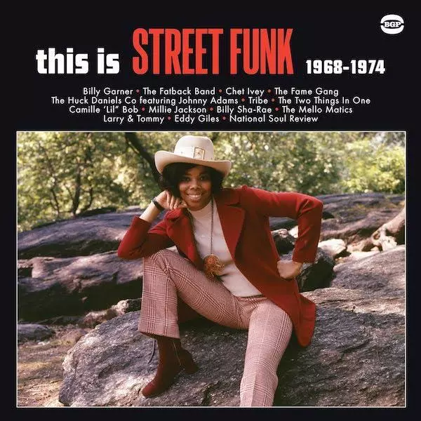 THIS IS STREET FUNK - Various Artists -New & Sealed 60s 70s Funk LP Vinyl (BGP)