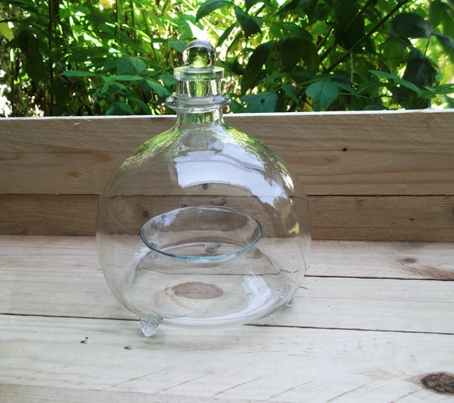 Piège à Guêpes En Verre CKB - Avec Crochet Métal - Pour Intérieur/extérieur - Appât Vinaigre/sucre