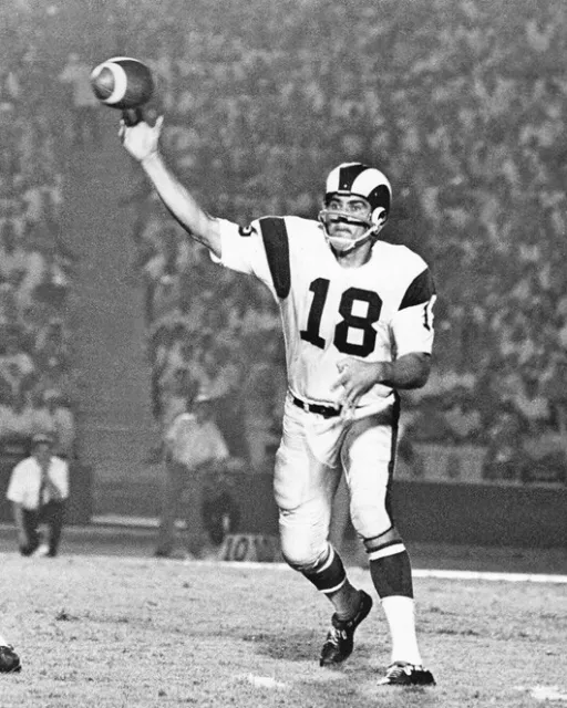 Los Angeles Rams ROMAN GABRIEL 8x10 Photo NFL Football Print Poster