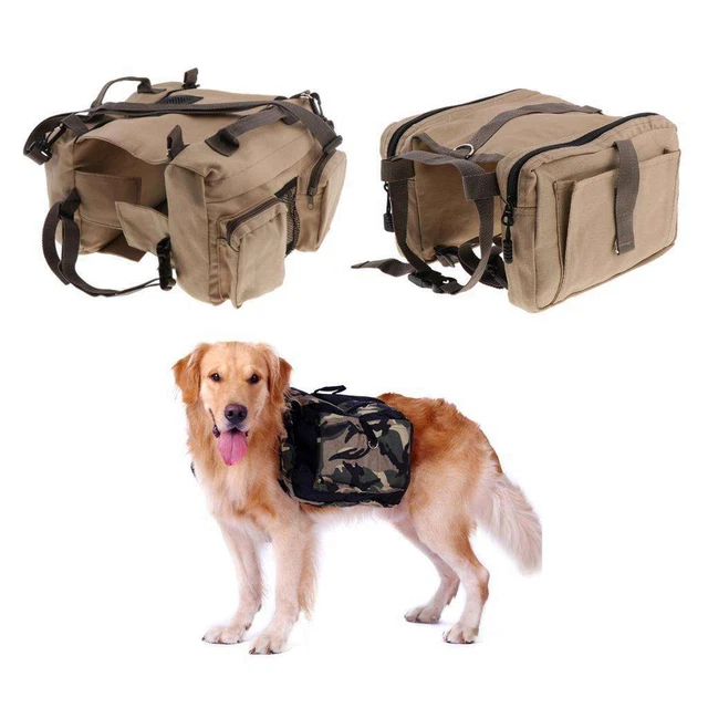 Zaino trasporto sales cane moto