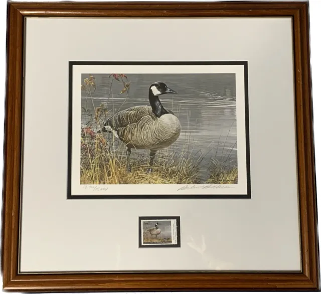 Robert Bateman 1987 Canada Goose Bird/Duck Stamp Signed Limited Ed Framed NFWF