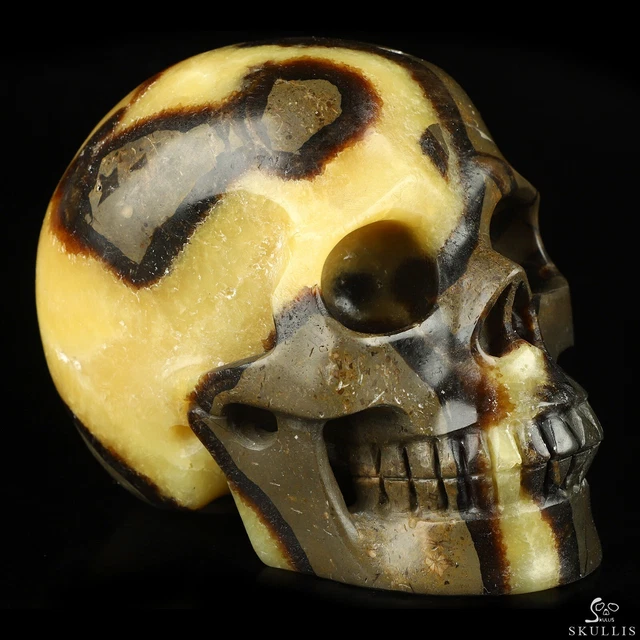 5.0" Dragon Septarian Stone Hand Carved Crystal Skull, Realistic, Healing