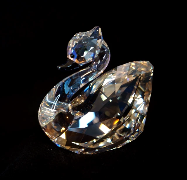 SWAROVSKI (BROADWAY-AUDREY) 【公式通販】