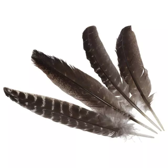 Natural Turkey Feathers 10-12inch Feather Decoration  DIY Craft