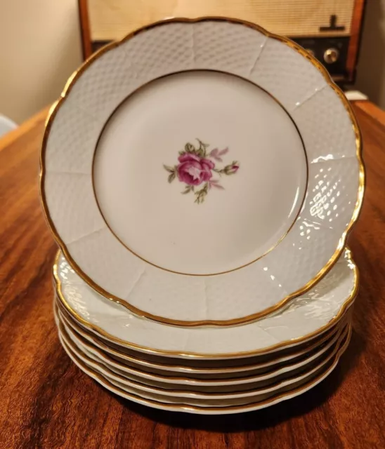 6 Vintage TK THUN Bohemia Czechoslovakian 7 3/4 Inch Salad Plates Flowers & Gold