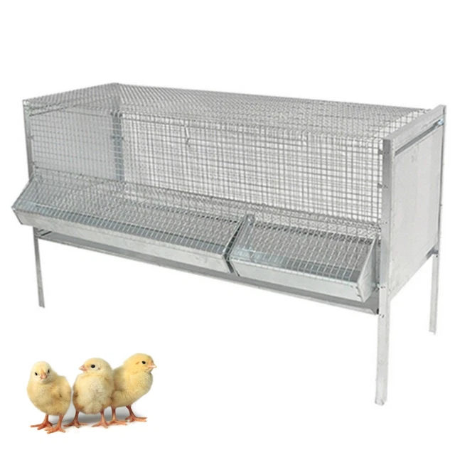 GABBIA Antitopo Zincata PULCINI POLLI Incl. Mangiatoia Abbeveratoio Cm - Foto 7