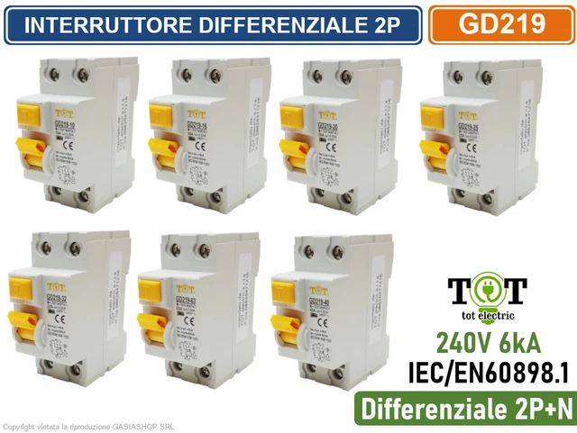 Interruttore Scatolato Square D 989219 240V 100A 2 Poli – Usato