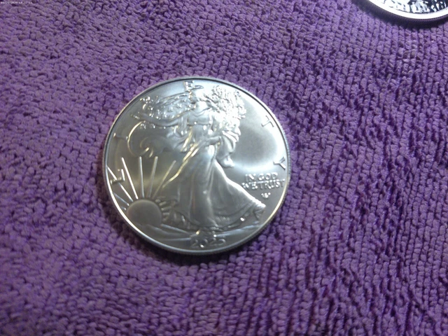 Colorized Ase 2025 COLORIZED AMERICAN Silver Eagle 1 troy oz .999 Elvira Mistress of ...